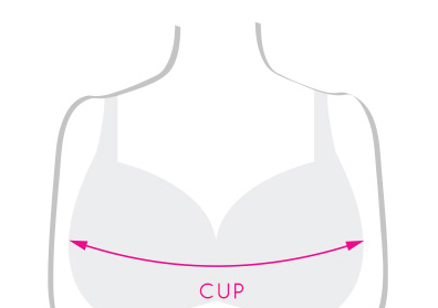 Lingerie guide